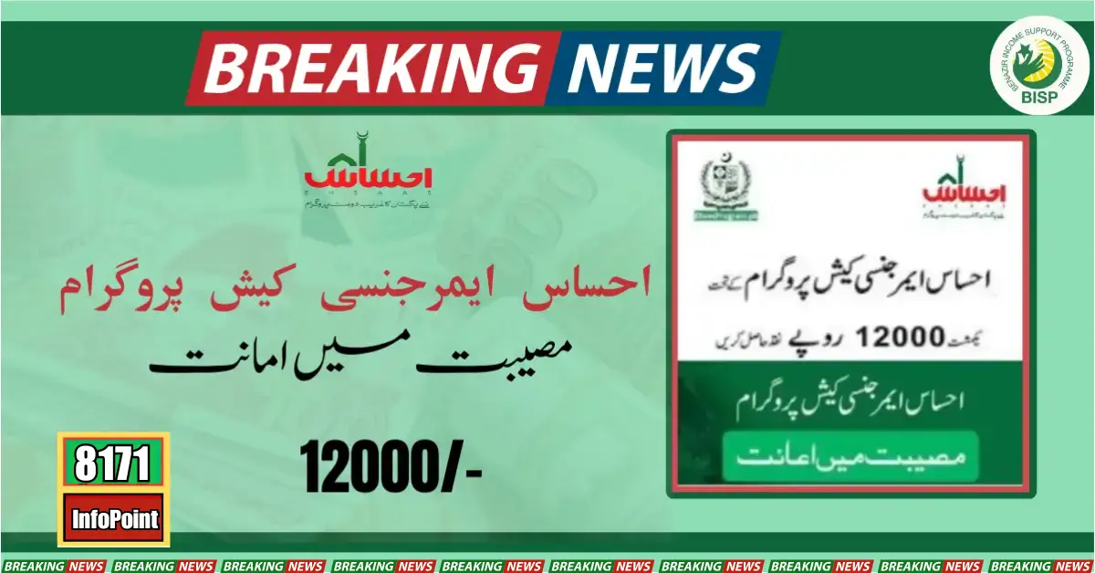 Ehsaas Emergency Cash Program Online Registration 2024