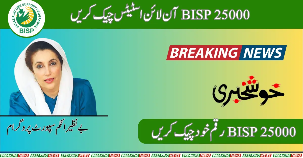 8171 BISP 25000 Check Online Status With CNIC 2024