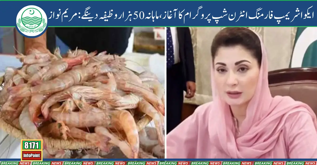 Maryam Nawaz Launches Aqua Shrimp Farming Internship: Youth to Earn 50,000 Monthly Stipend