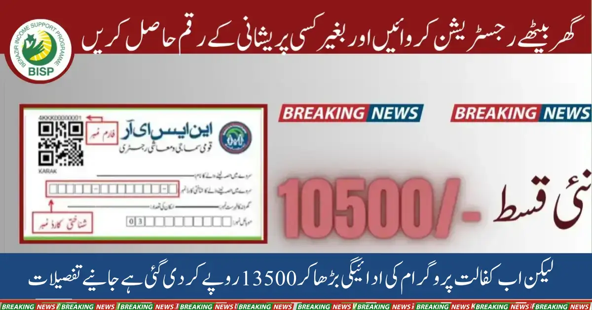 NSER Survey Check CNIC Online Registration 2024