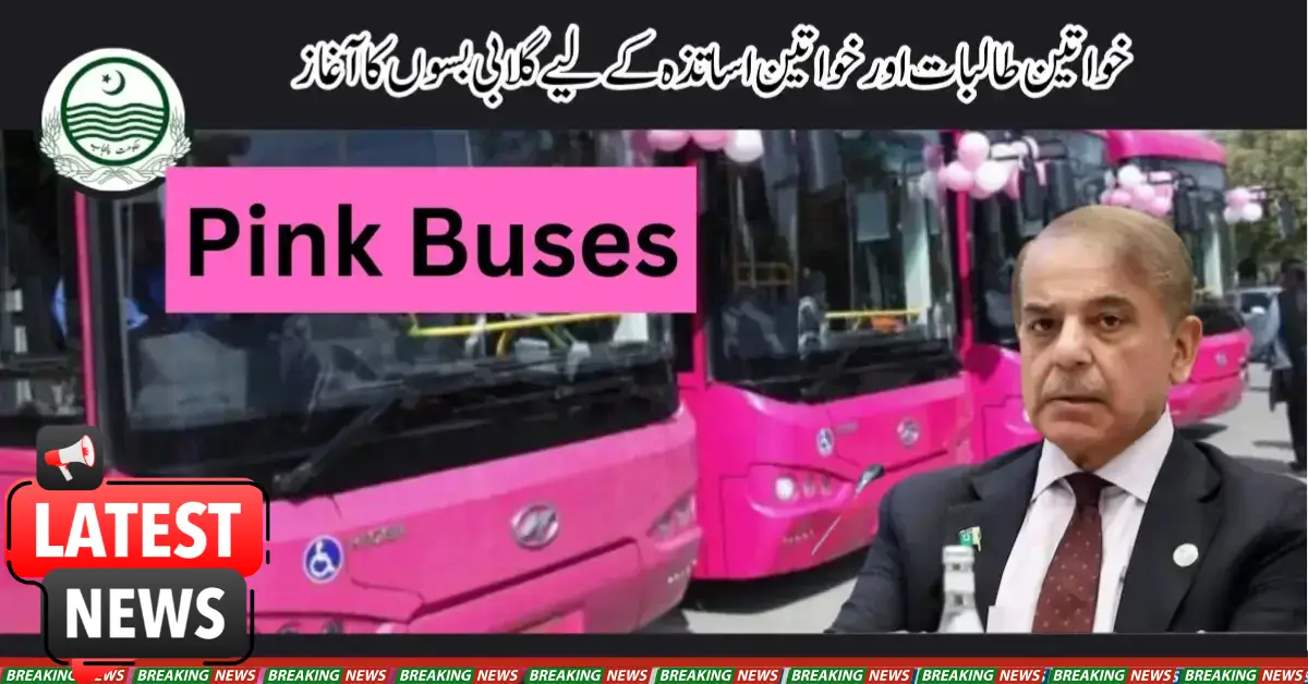 Launch Of Pink Buses For Female Students And Women Teachers